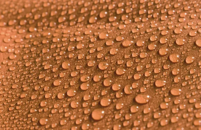 Innovación textil y nuevas tecnologías en la industria